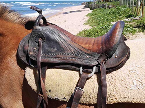 LEDER-FEIN® Leder-Pflege- & Imprägnieröl 175 ml, zur Pflege und Imprägnierung von Naturledern (Koffer, Taschen, Riemen, Sattelzeug), Motorradkombis und anderer Lederbekleidung mit Nappaleder, Schuhen, Stiefeln, Fett- und Ölledern - 3