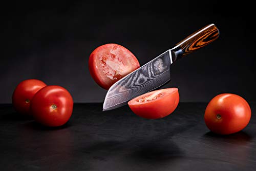 Wolfblood Damastmesser Santoku Messer L(24cm) Profi-Kochmesser aus echtem 67 Lagen Damaststahl I Damast-Küchenmesser Santokumesser mit Holzgriff Geschenkbox und Klingenschutz - 8