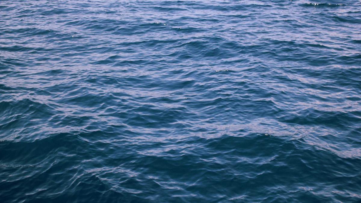 Jann Mardenborough Vermögen Detailansicht: Jann Mardenborough Vermögen