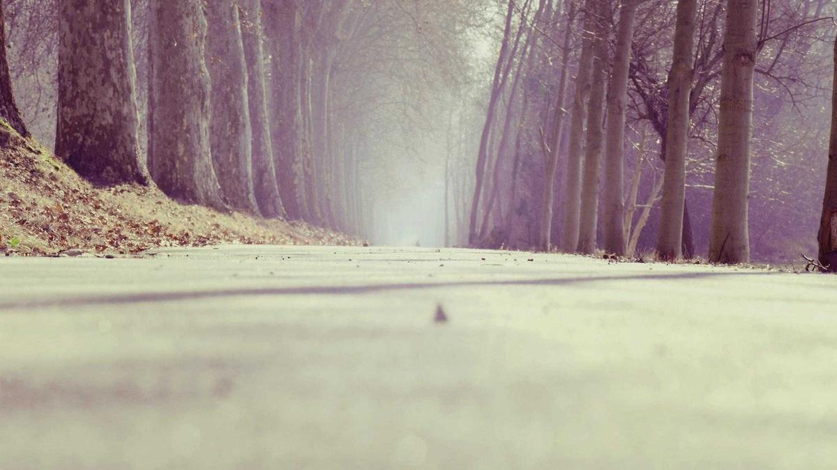 Symbolbild zum Thema A1 Unfall