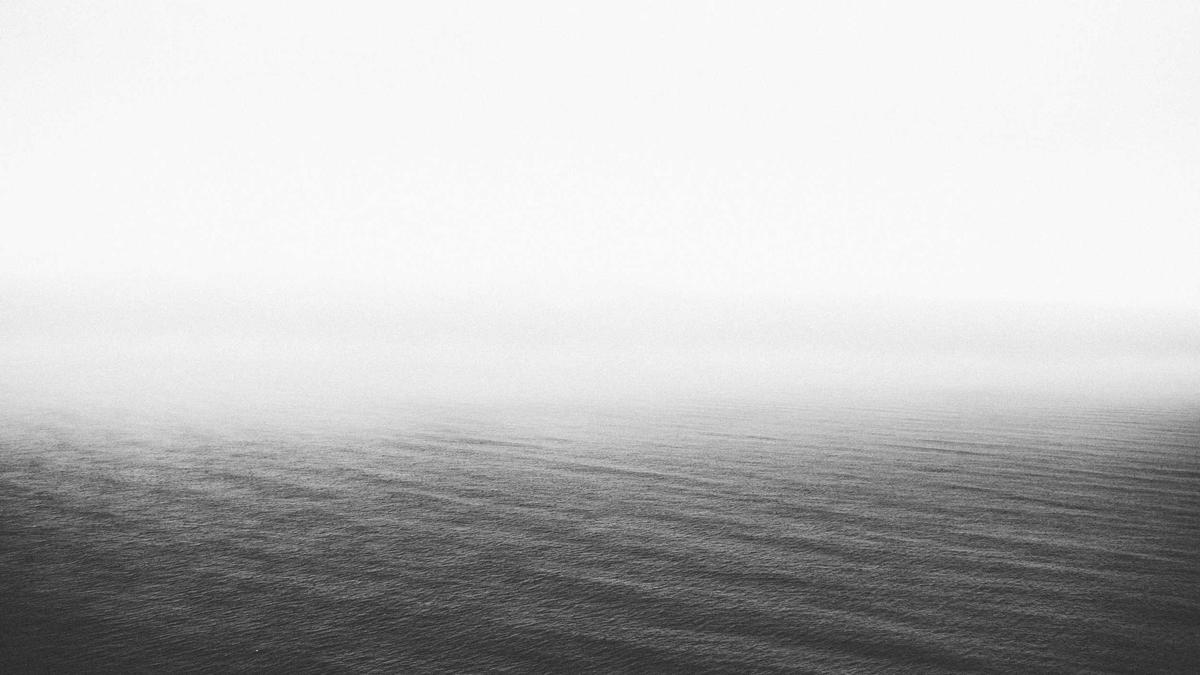 Detailansicht: Affe Meme