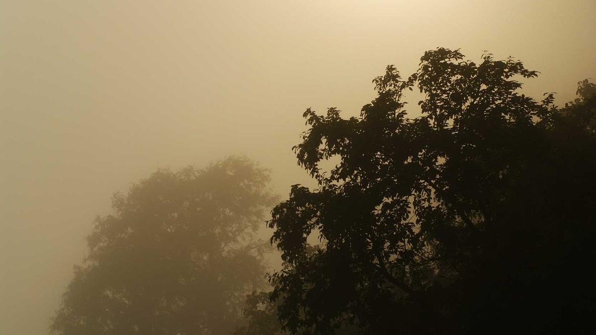 Detailansicht: Alex Fiva