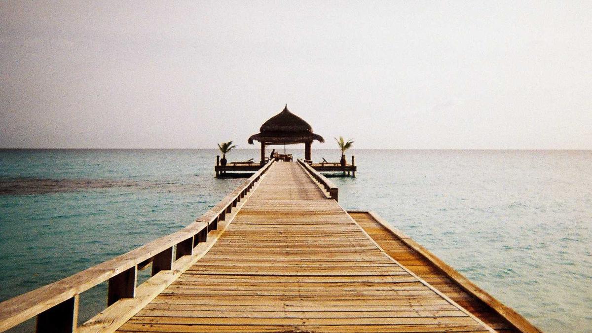 Detailansicht: Amin Younes