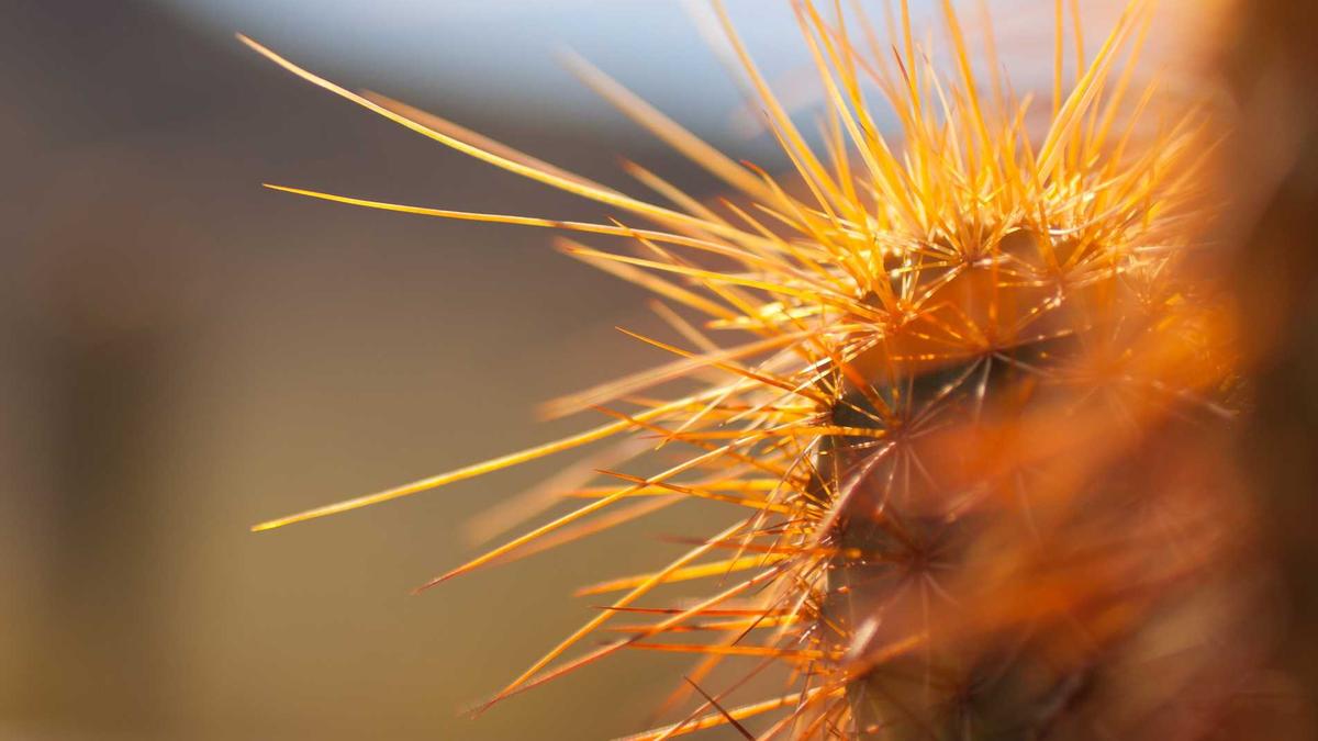 Symbolbild zum Thema Battlefield 6