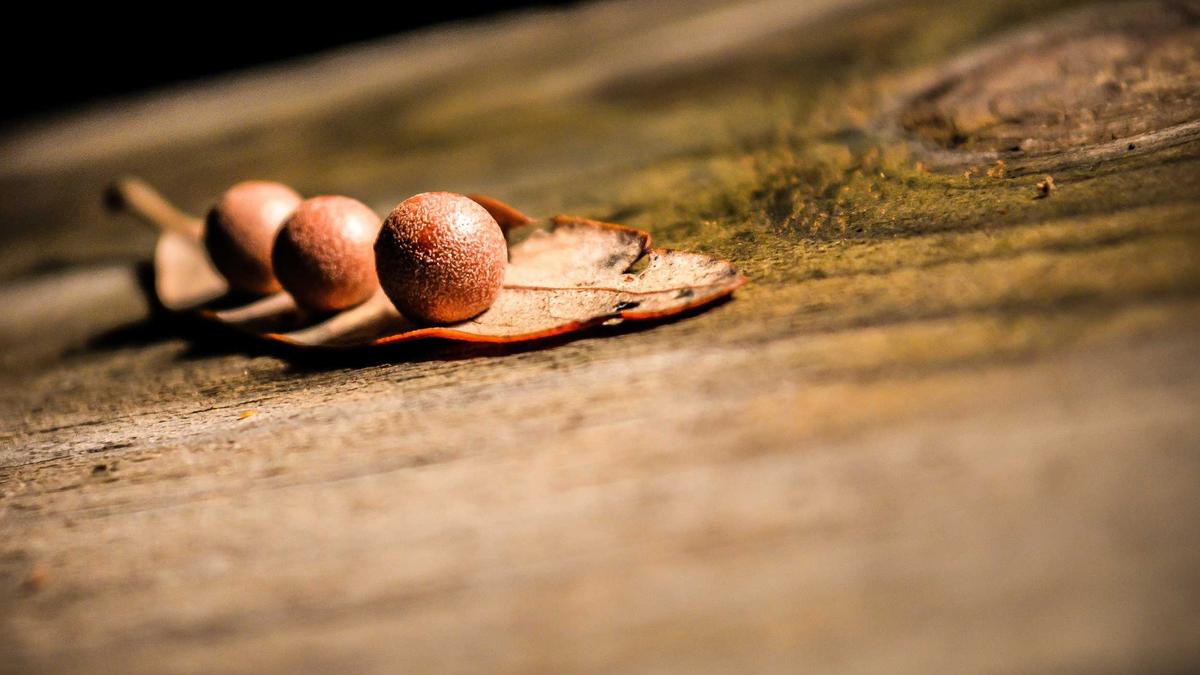 Cargill Hafen Besetzung Symbolbild zum Thema Cargill Hafen Besetzung