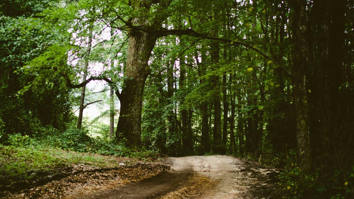 Illustration zu Cosmo