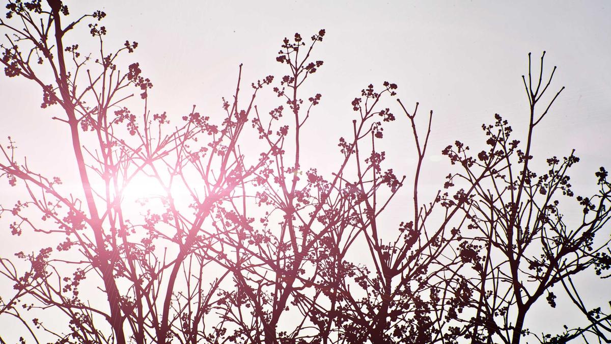 Illustration zu Dahoam Is Dahoam