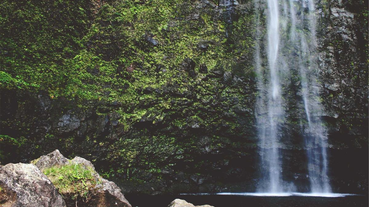 FC Köln Symbolbild zum Thema FC Köln