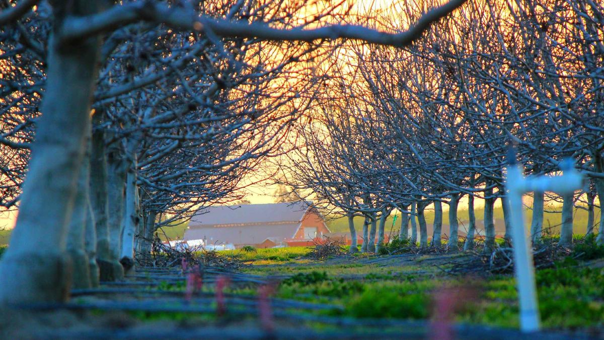 Frühling Kommt Detailansicht: Frühling Kommt