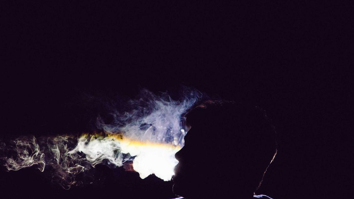 Illustration zu Haie Antarktis