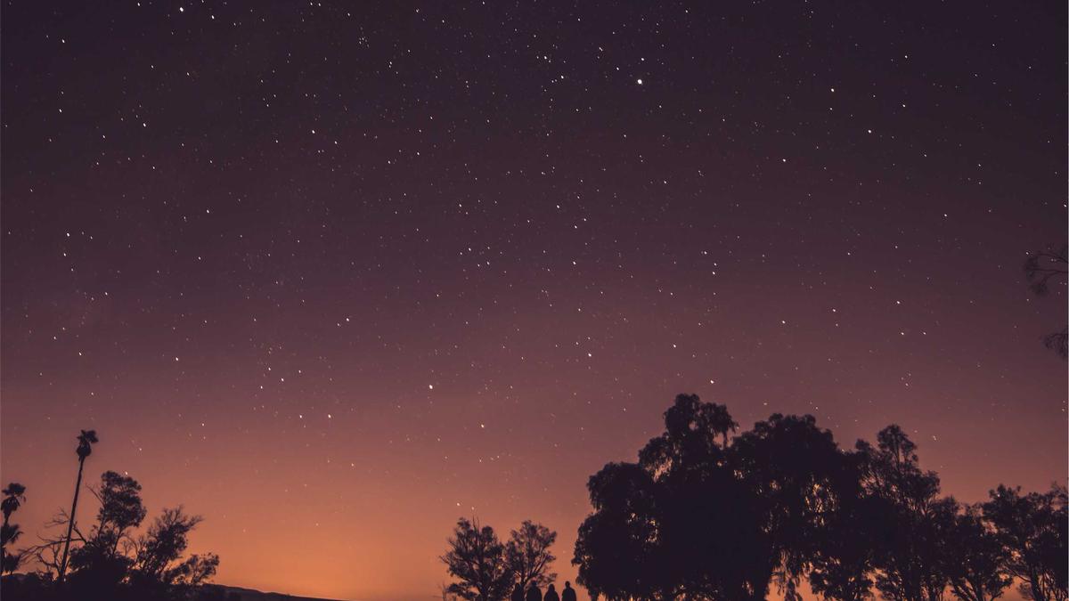 Symbolbild zum Thema Hinnerk Baumgarten