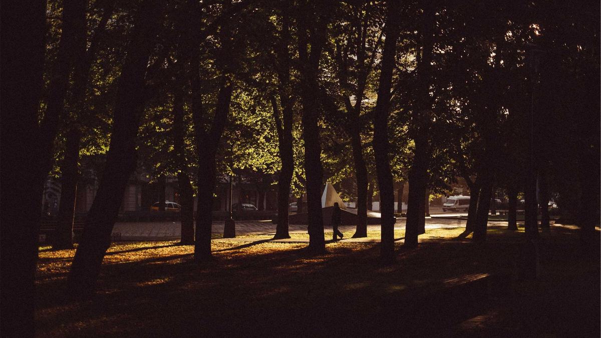 Illustration zu Kaori Sakamoto