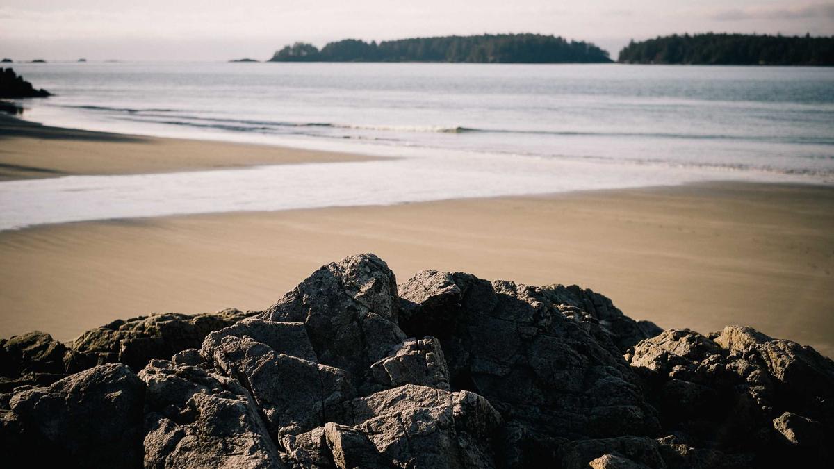 Katrin Ofner Illustration zu Katrin Ofner