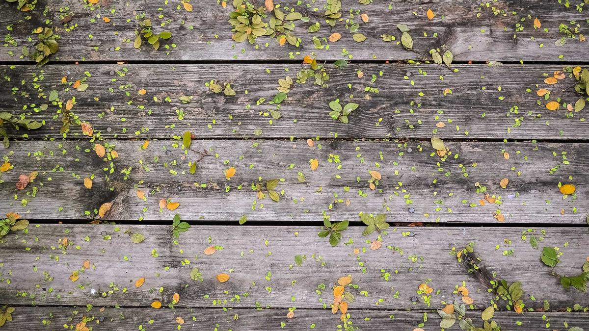 Symbolbild zum Thema Kurt Krieger