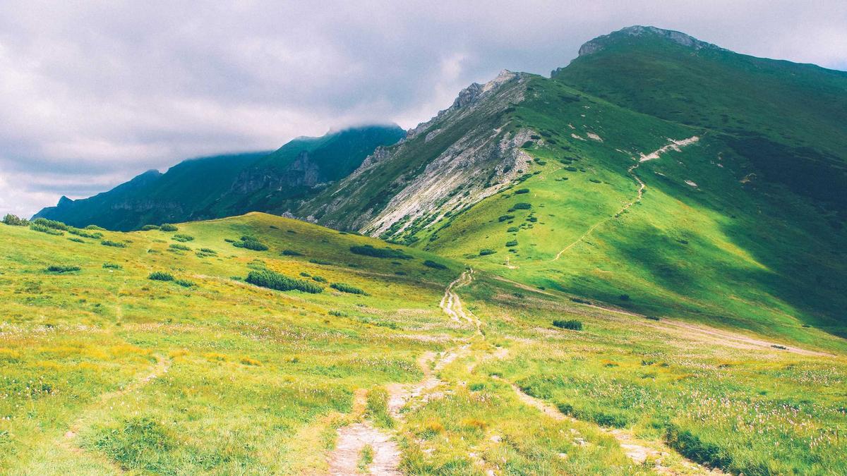 Detailansicht: Lawine Zell Am See