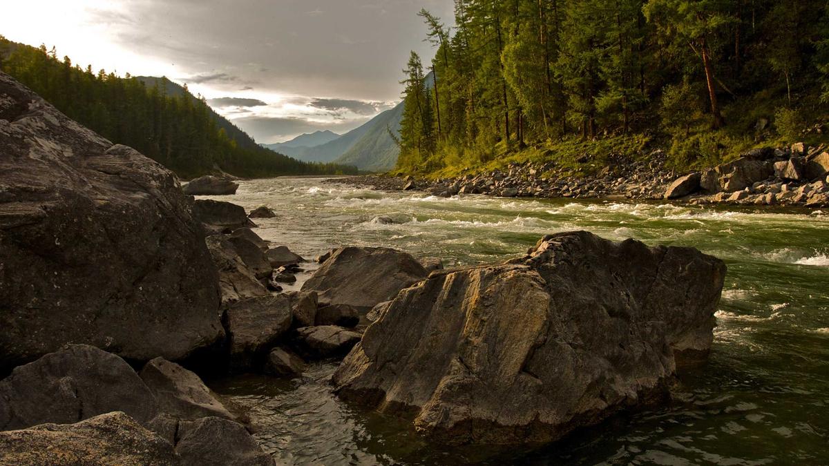 Lexi Jones Vorwürfe Detailansicht: Lexi Jones Vorwürfe
