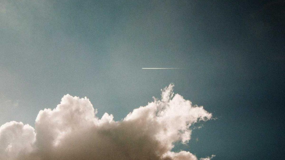 Lumphini Park Warane Detailansicht: Lumphini Park Warane