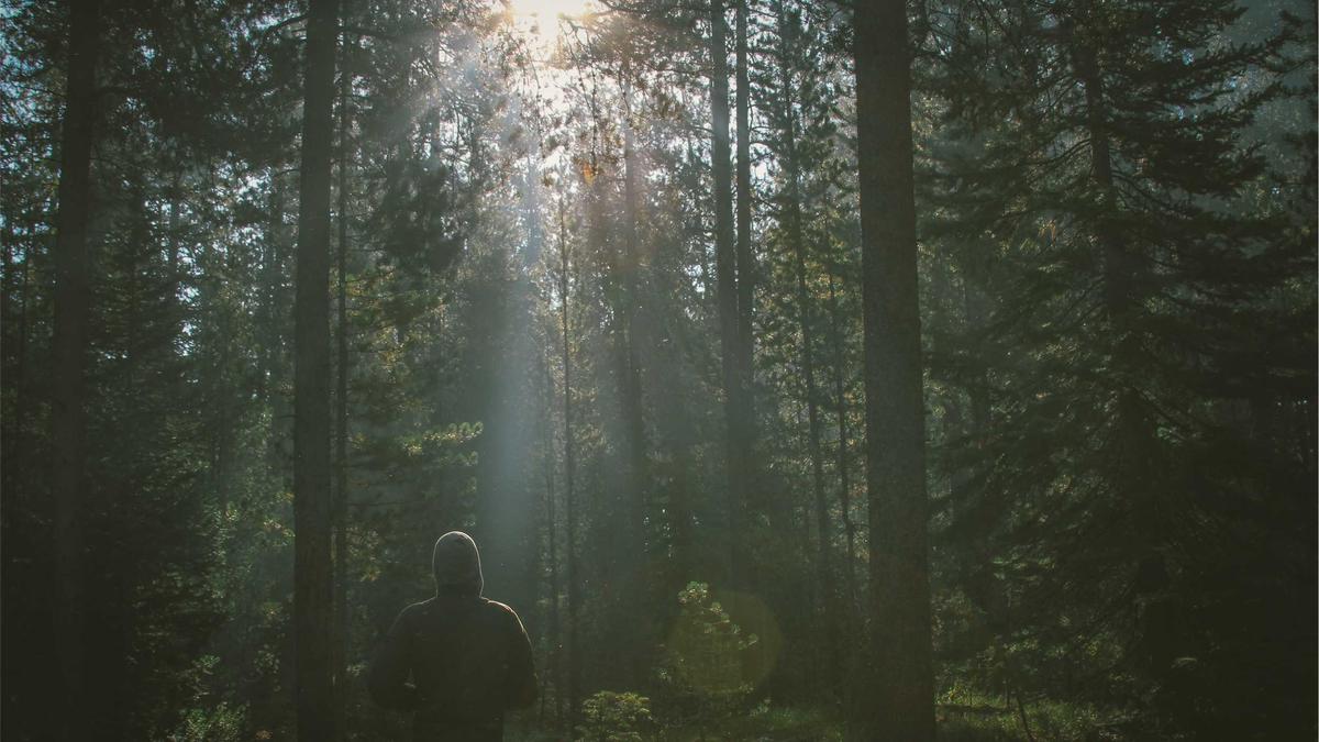 Illustration zu Michelle Yeoh Karriere