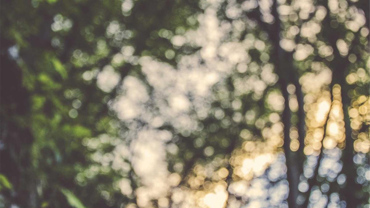 Mike Maschina Gestorben Symbolbild zum Thema Mike Maschina Gestorben