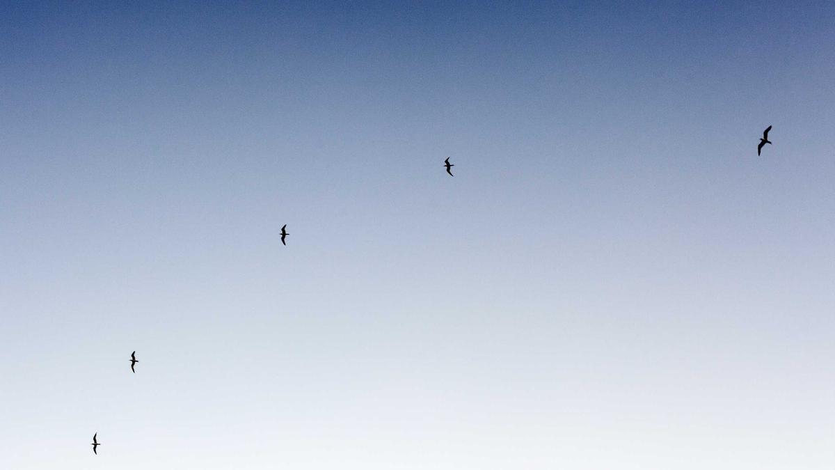 Symbolbild zum Thema Mord Andrij Portnow