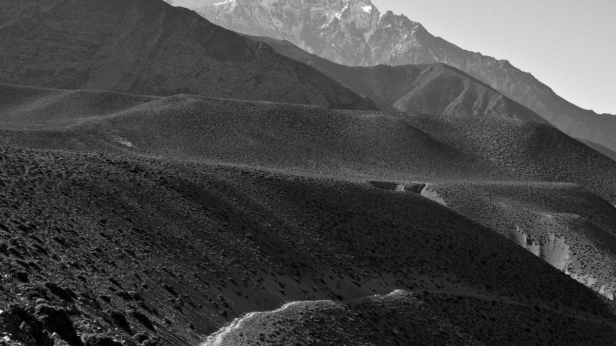 Olympische Winterspiele 2026 – Eiskunstlauf Kür Der Frauen Illustration zu Olympische Winterspiele 2026 – Eiskunstlauf Kür Der Frauen