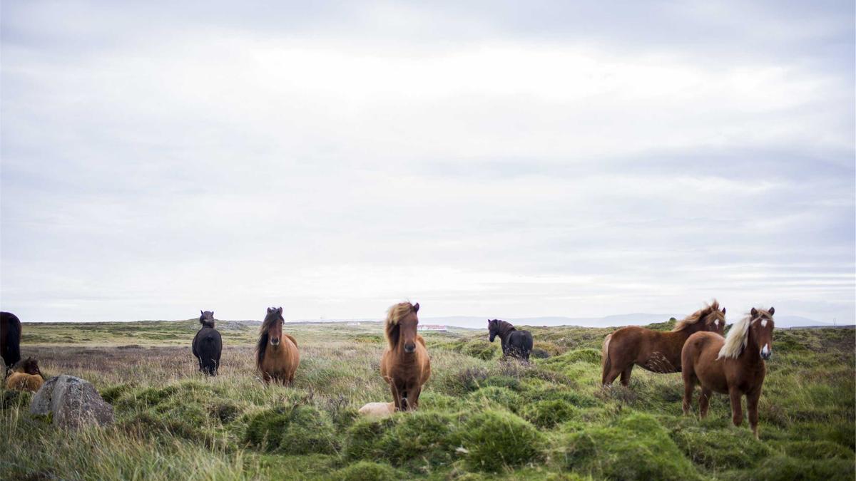 Detailansicht: Ostereier Bemalen