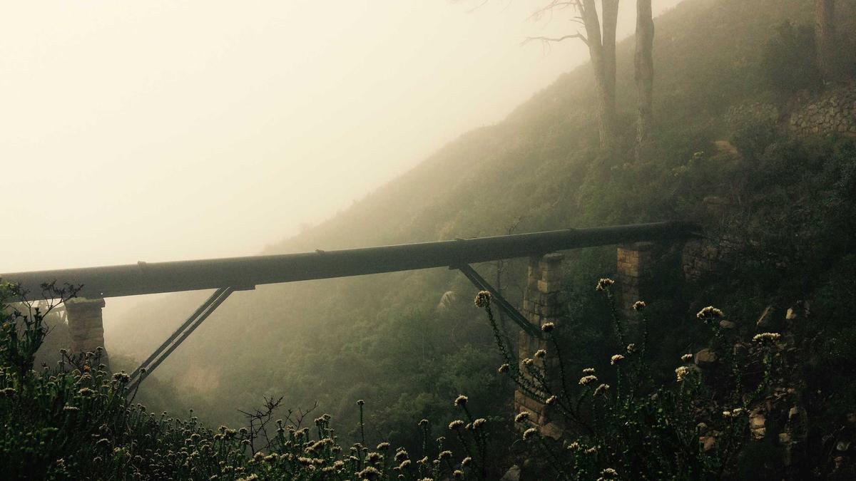 Detailansicht: Prinz Andrew Aufnahme