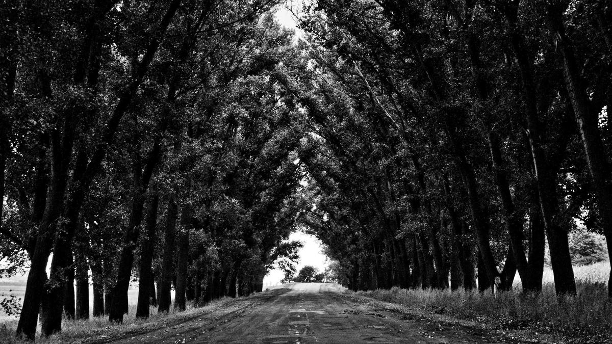 Detailansicht: Robert Aramayo Bafta