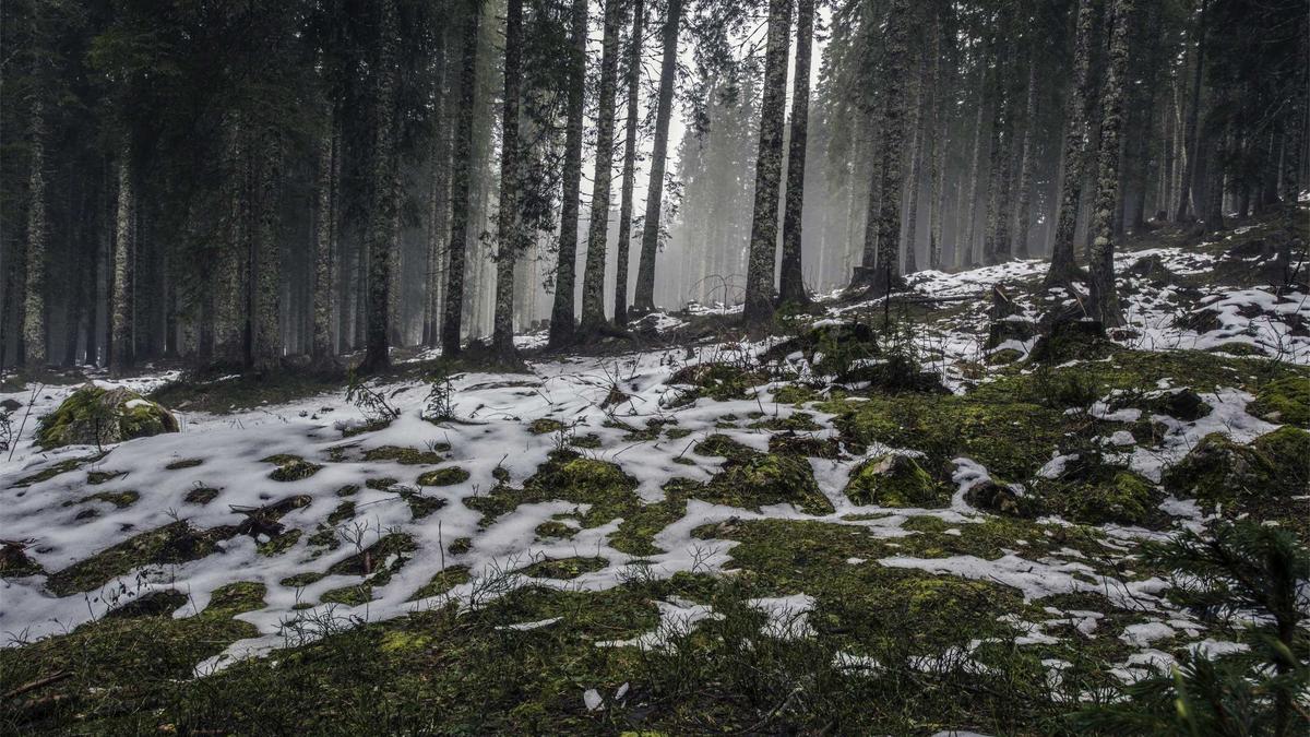 Detailansicht: Stillen Empfehlung