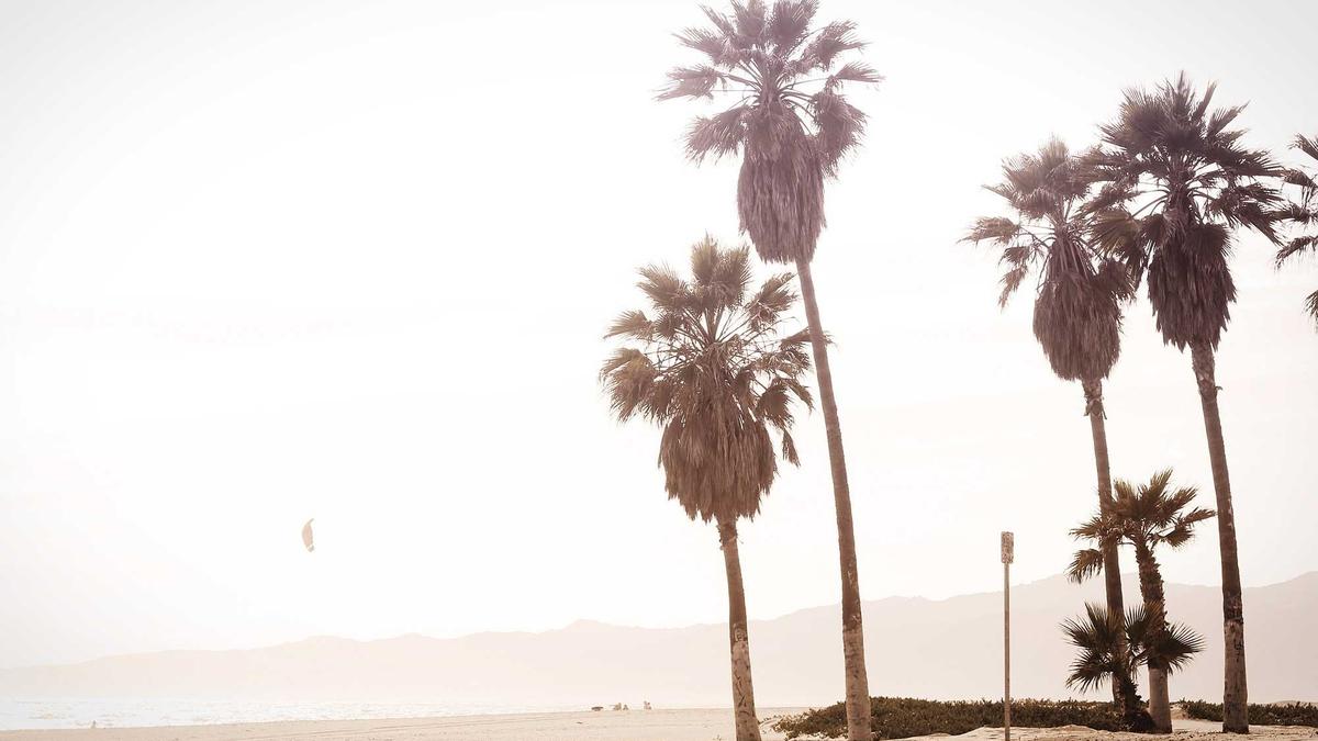 Symbolbild zum Thema Taylor Fritz