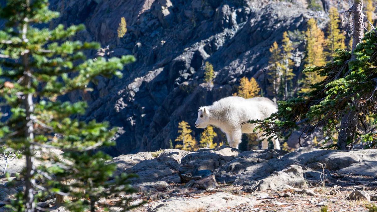 Symbolbild zum Thema Tom Noonan Tot