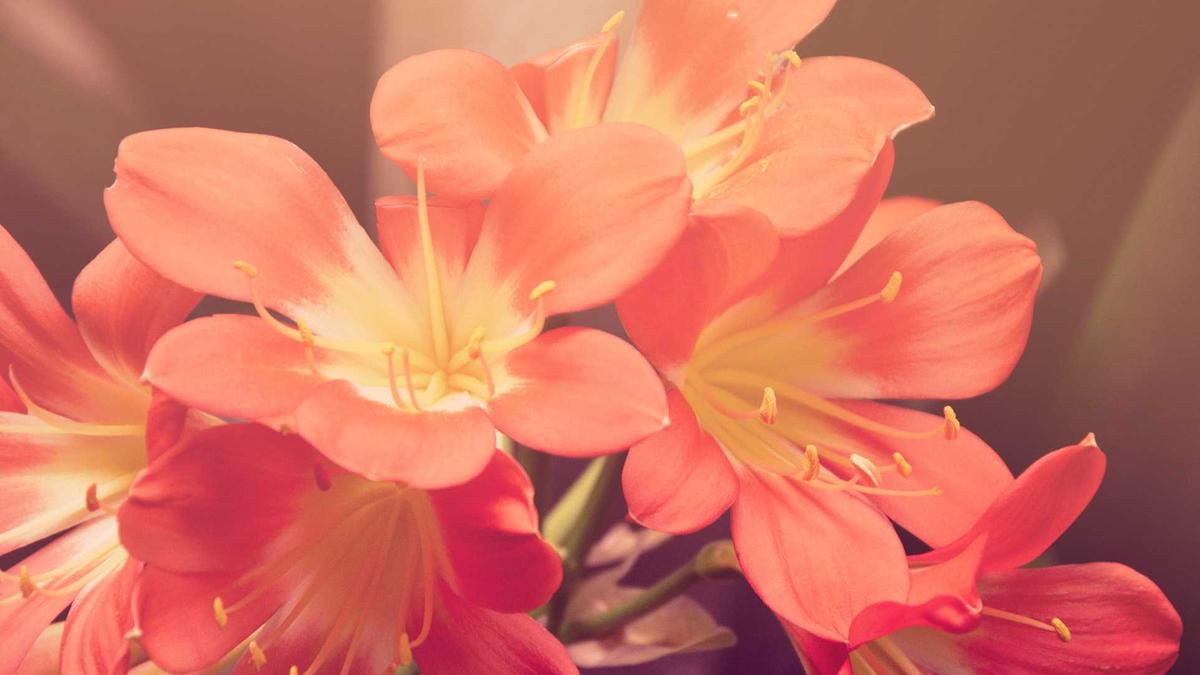 Trace An Object Symbolbild zum Thema Trace An Object