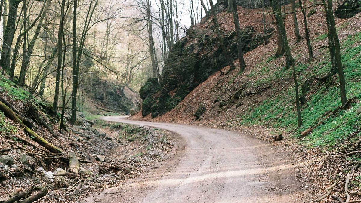 Symbolbild zum Thema Astrobiologie Film