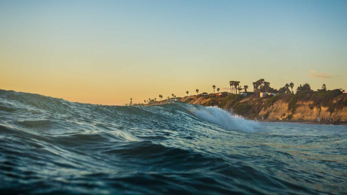 Illustration zu Ayrton Senna Freundinnen