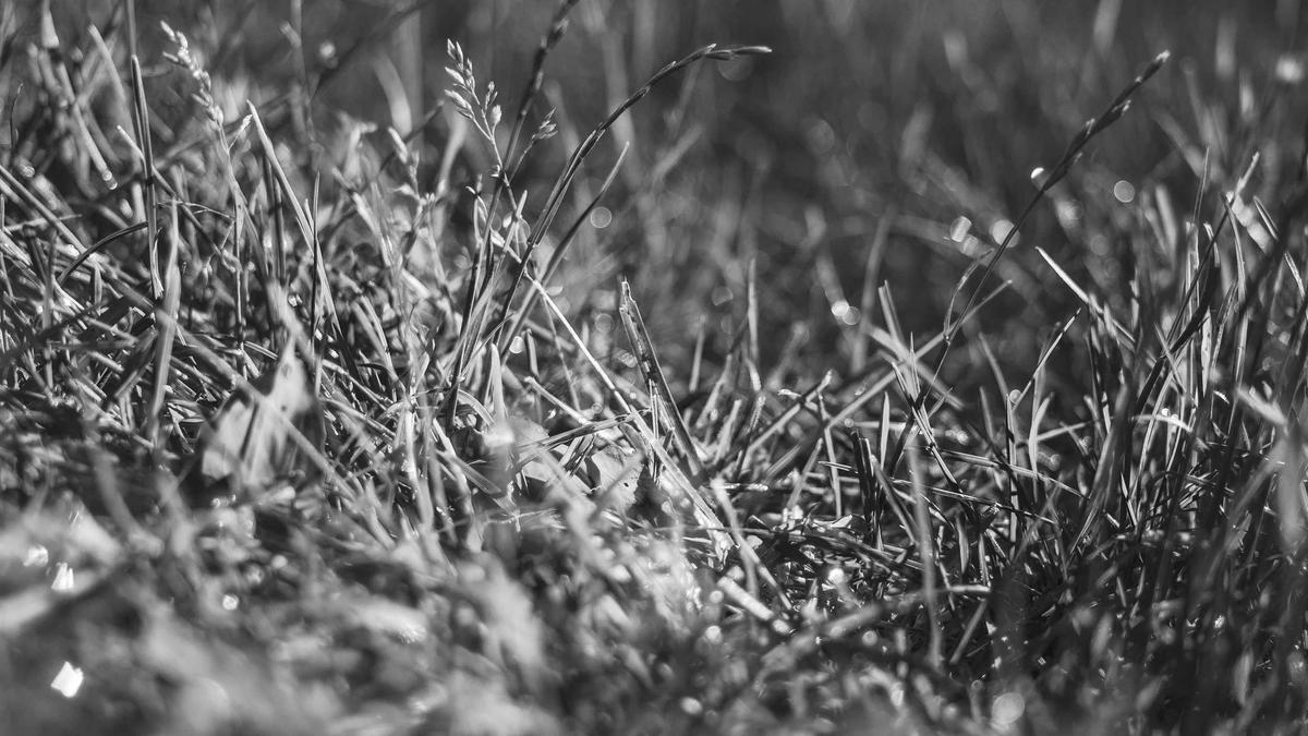 Detailansicht: Barry Manilow Lungenkrebs