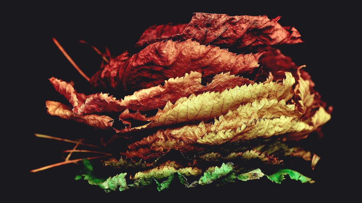 Ber Flugbetrieb Unterbrochen Detailansicht: Ber Flugbetrieb Unterbrochen