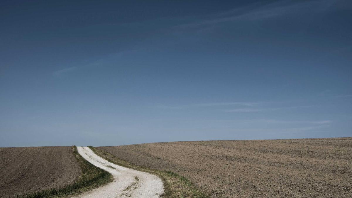 Detailansicht: Boerse