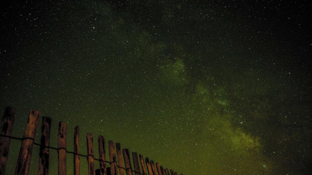 Bruno Salomone Detailansicht: Bruno Salomone