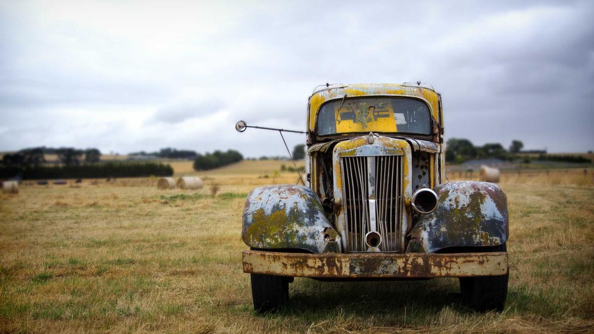 Illustration zu Buckelwal Ostsee
