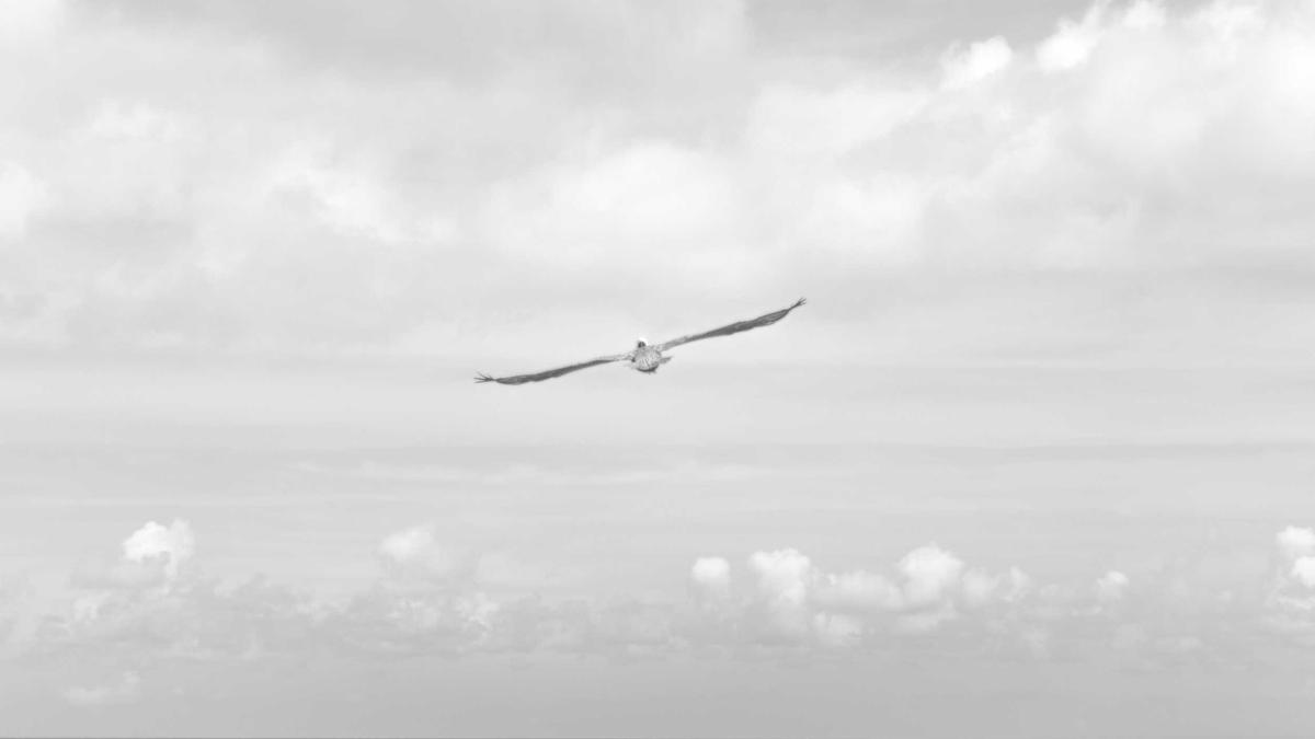 Camila Cabello Freund Illustration zu Camila Cabello Freund