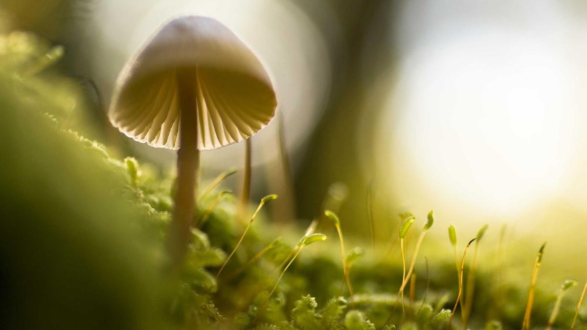 Detailansicht: Cara Delevingne Freundin