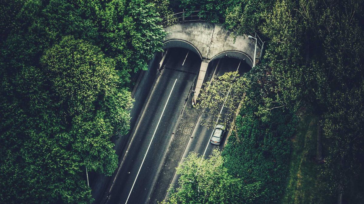 Symbolbild zum Thema Christin Stark Fehlgeburt