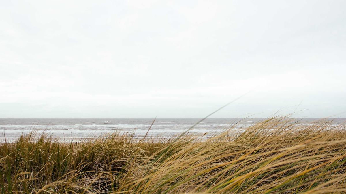 Detailansicht: Christina Block Prozess