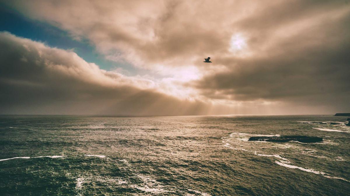 Detailansicht: Daniel Aminati Trennung