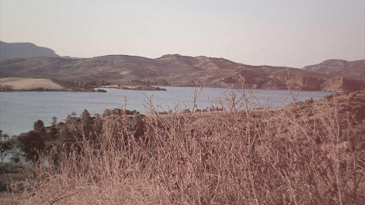 Symbolbild zum Thema Die Notärztin