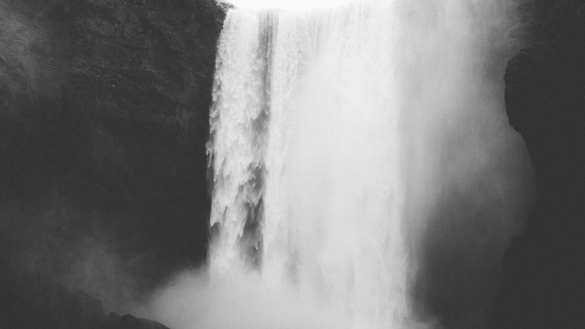 Detailansicht: Die Toten Hosen