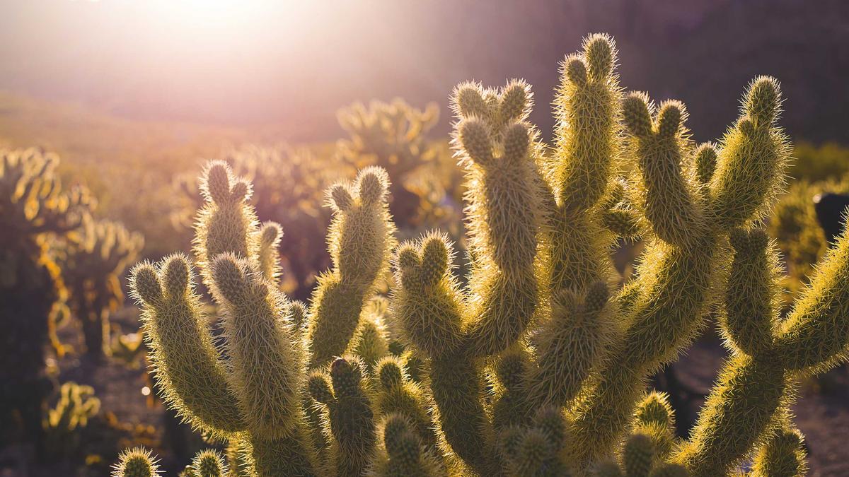 Detailansicht: Digitale Gewalt