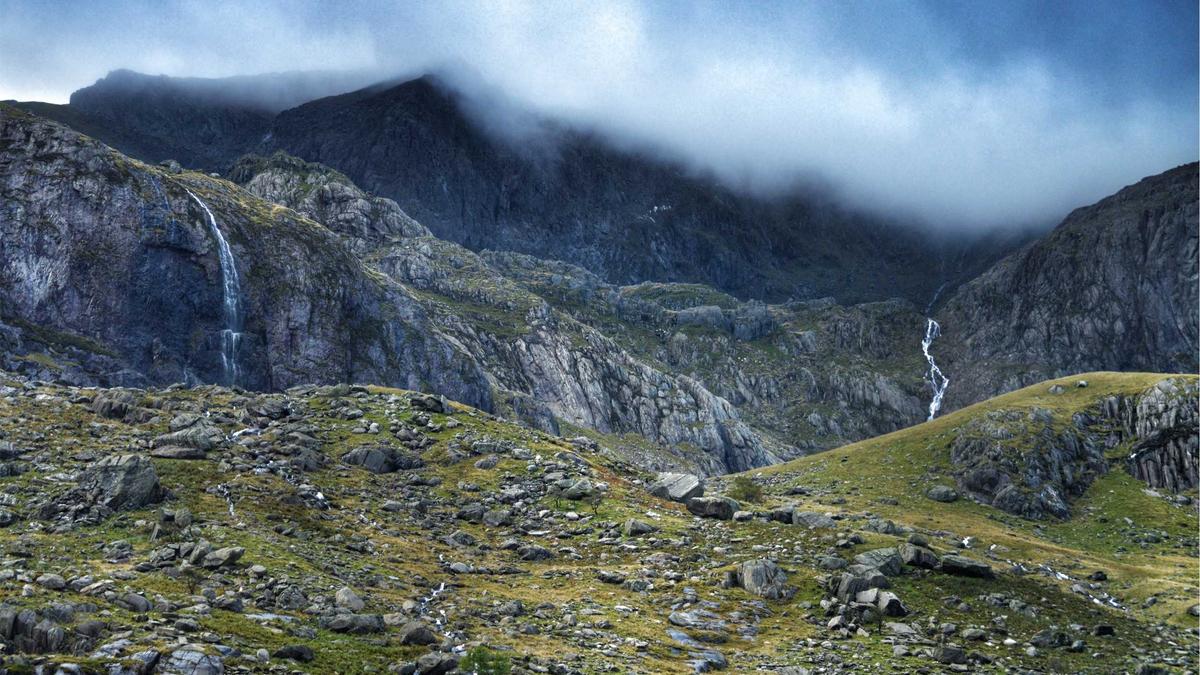 Elektrische Reinigungsbürste Detailansicht: Elektrische Reinigungsbürste