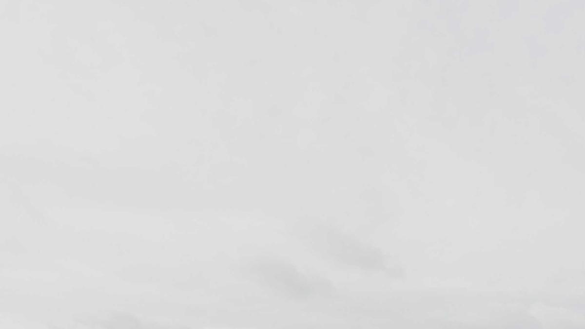 Erdogan Illustration zu Erdogan