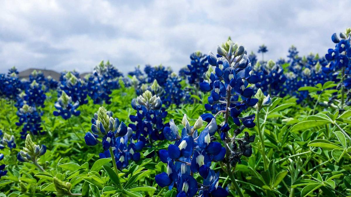 Detailansicht: Essensreste Toilette
